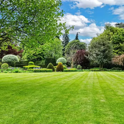 Scenic view of a beautiful landscape garden with a freshly mowed grass lawn and green leafy trees